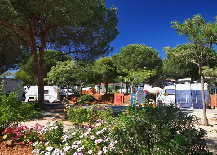 Campeggio Accueillante Avec Terrasse - Api-1-52-1898 Marbella